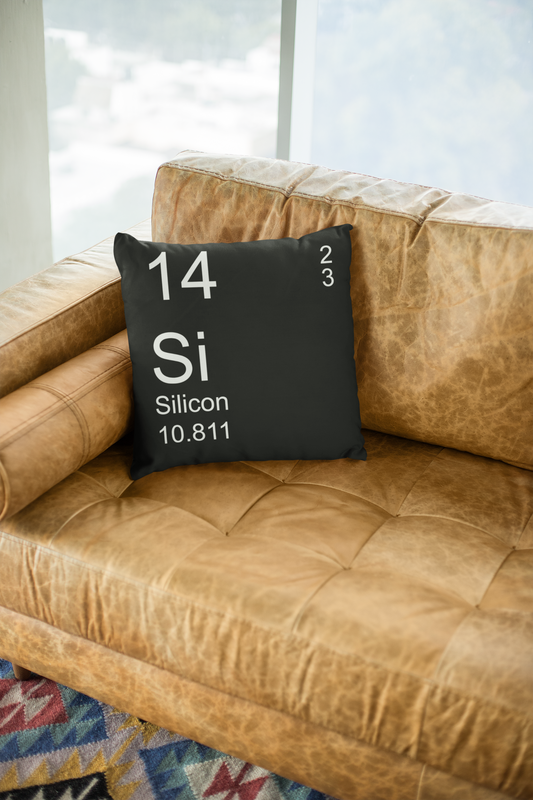 Black Silicon Pillow on Tan Leather Sofa