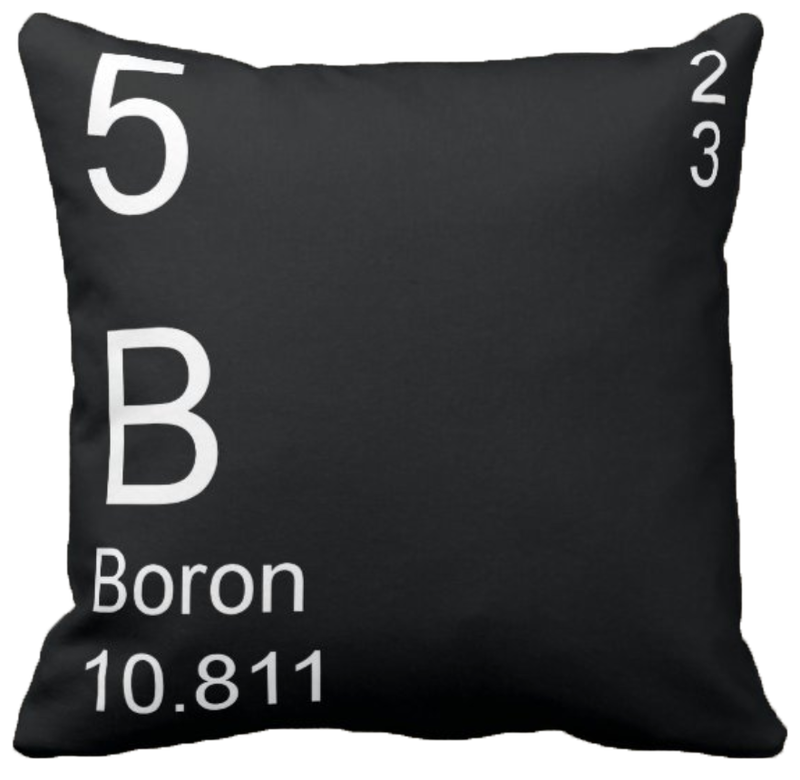 Black Boron Element Pillow