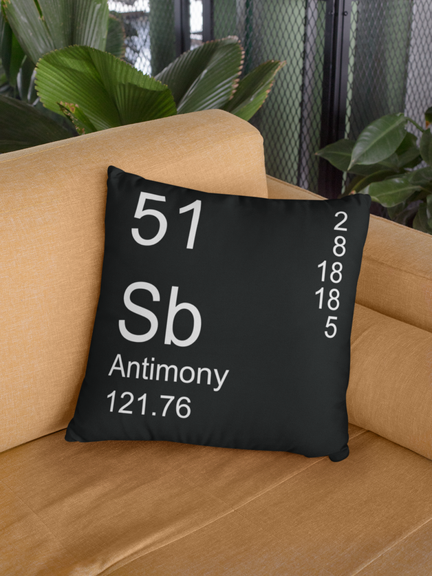 Black Antimony Element Pillow on Couch