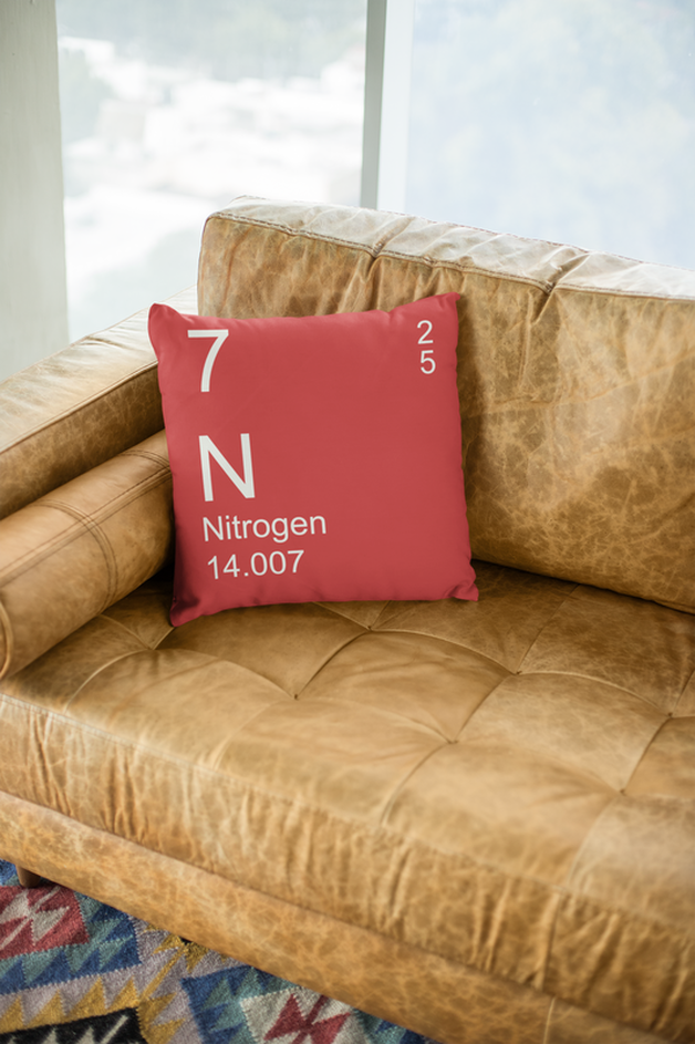 Red Nitrogen Element Pillow on Leather Couch