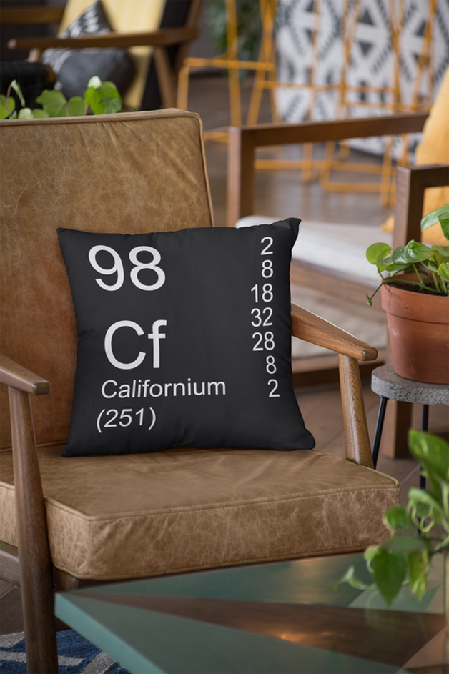 Black Californium Element Pillow on Tan Leather Chair